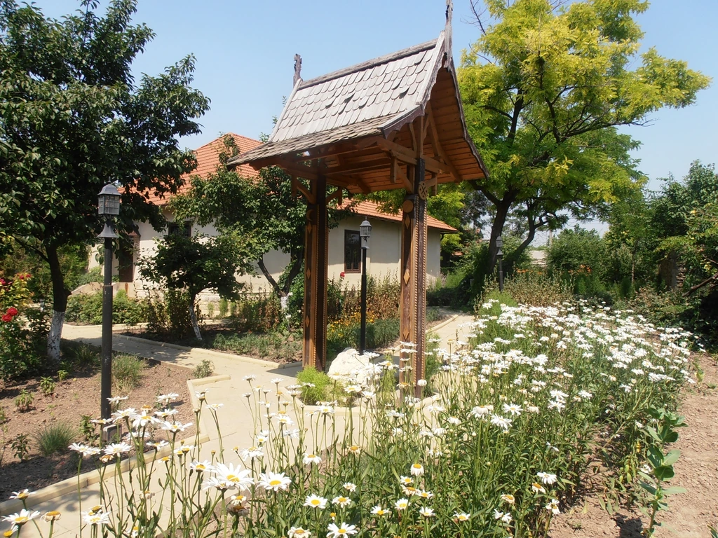 Evacuator disponibil în Zaim — servicii rapide și sigure în toată Moldova.